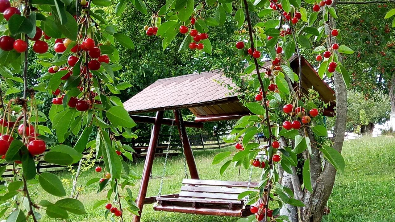 Pensiunea Tabacaru Peştera المظهر الخارجي الصورة